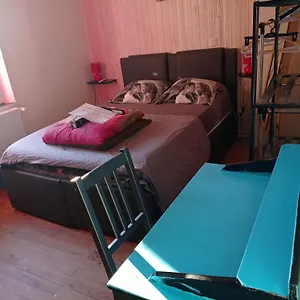 book here